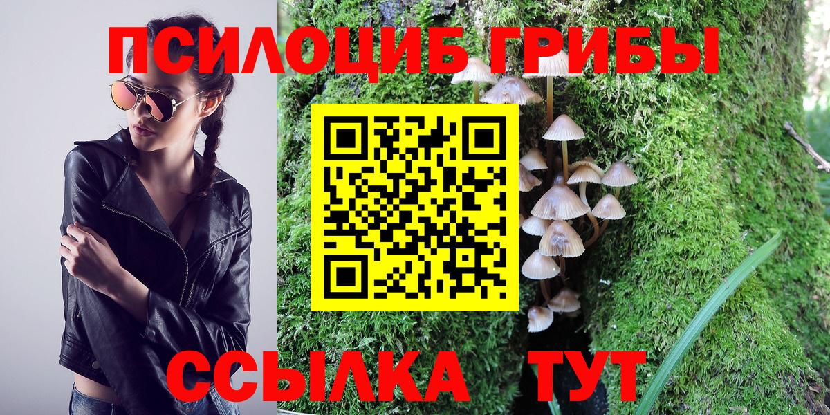 Галлюциногенные грибы Cubensis  Вход с VPN  Майский 
